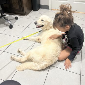 Vanguard Veterinary Clinic - Our dog Bella - Veterinarians Near Me - Cypress, Texas Vanguard Veterinary Clinic - Our dog Bella - Veterinarians Near Me - Cypress, Texas
