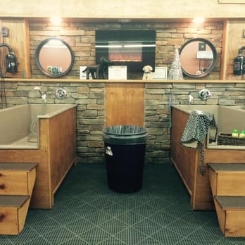 Harvey's Pet  - Are Self Service Pet Wash! - Pet Stores Near Me - Johnstown, New York