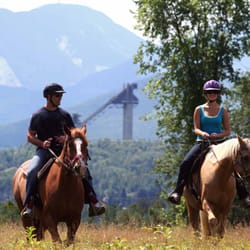 Adirondack Equine Center