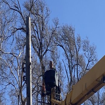 Lumber Jack - Tree Services Near Me - Nebraska City, Nebraska