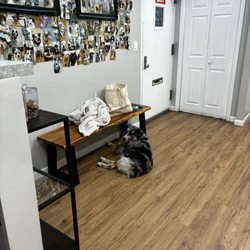 York Veterinary Center