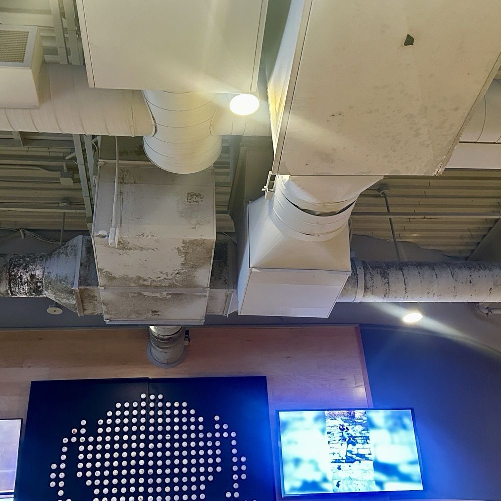 Buffalo Wild Wings - Nasty mildewed AC ducting - Chicken Wings Near Me - Fort Myers, Florida Buffalo Wild Wings - Nasty mildewed AC ducting - Chicken Wings Near Me - Fort Myers, Florida