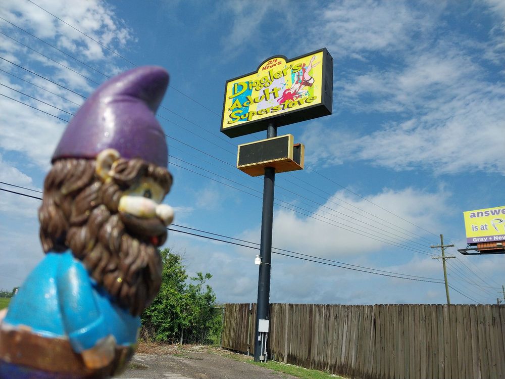 Diggler's Adult Superstore Logo