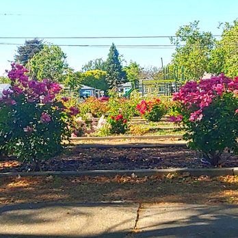 Grant Mahony Park - Smell the roses - Parks Near Me - Vallejo, California Grant Mahony Park - Smell the roses - Parks Near Me - Vallejo, California