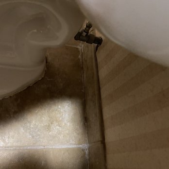The Bertram Inn & Conf Ctr Trademark Collection - My dirty room. white crud leaking from toilet. - Hotels Near Me - Aurora, Ohio The Bertram Inn & Conf Ctr Trademark Collection - My dirty room. white crud leaking from toilet. - Hotels Near Me - Aurora, Ohio