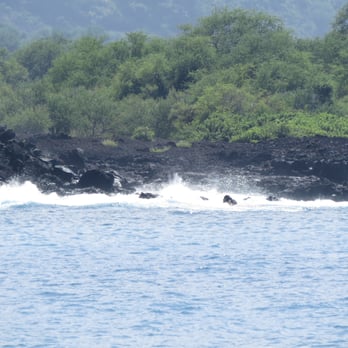 Kealakekua Bay - Keylakekua Bay - Beaches Near Me Kealakekua Bay - Keylakekua Bay - Beaches Near Me