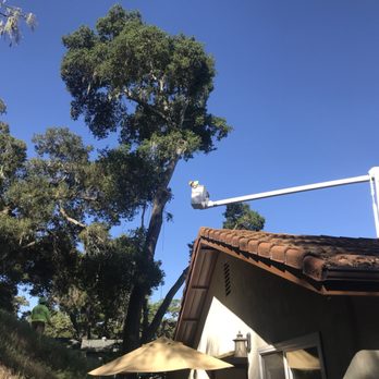 Bunyon Bros. Tree Service - Tree Services Near Me Bunyon Bros. Tree Service - Tree Services Near Me