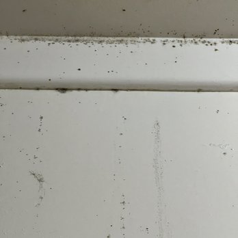 California Property Services - Black mold Ramona Ave - Property Management Near Me - Pismo Beach, California California Property Services - Black mold Ramona Ave - Property Management Near Me - Pismo Beach, California
