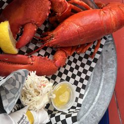 LDI Lobster - Boiled lobster