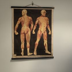 Mind Plus Body Balance
