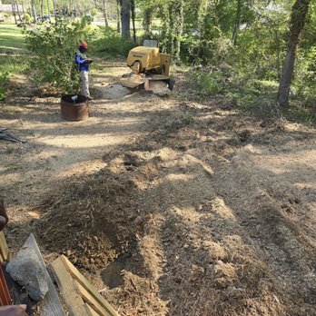 Choco’s Stump Grinding - The stump grinding process. - Tree Services Near Me Choco’s Stump Grinding - The stump grinding process. - Tree Services Near Me