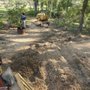 Photo of Choco’s Stump Grinding