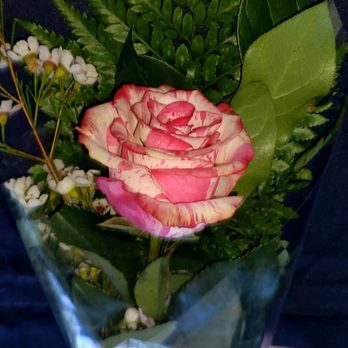 Hart Florist and Flower Delivery - A beautiful single rose, it has a pink and white pattern. I wish I knew the name of the kind of rose it is. I forgot to ask. - Florists Near Me - Modesto, California Hart Florist and Flower Delivery - A beautiful single rose, it has a pink and white pattern. I wish I knew the name of the kind of rose it is. I forgot to ask. - Florists Near Me - Modesto, California