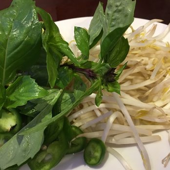 Pho 95's - Basil, jalapenos, and sprouts - Vietnamese Near Me - Alexandria, Virginia