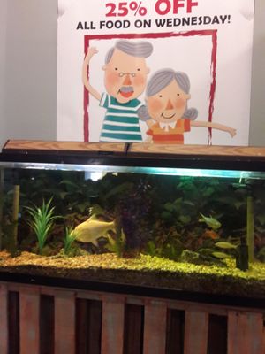 Tim's Tavern by null