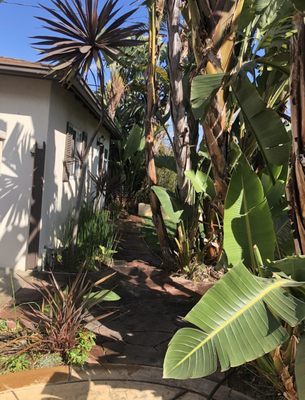 Shrub, hedge, and plant trimming - We offer Shrub, hedge, and plant trimming. Shrub, hedge, and plant trimming - We offer Shrub, hedge, and plant trimming.