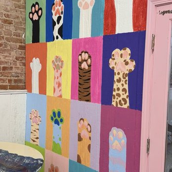 Meow & Mocha - Coffee & Tea Near Me - Guthrie, Oklahoma