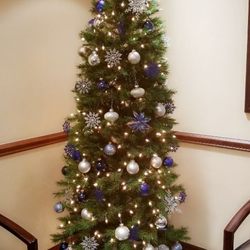 Bay Pointe Endodontic Specialists - It's a wonderful time of year!
