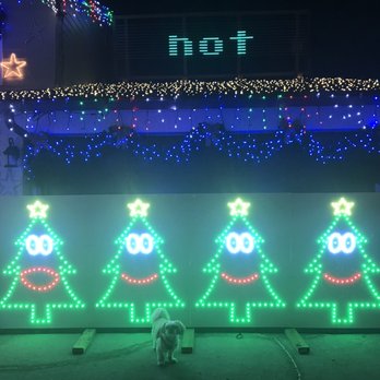 Temple Terrace Light Show - Mocha Coconut checking out the singing Xmas trees - Holiday Decorations Near Me - Tampa, Florida