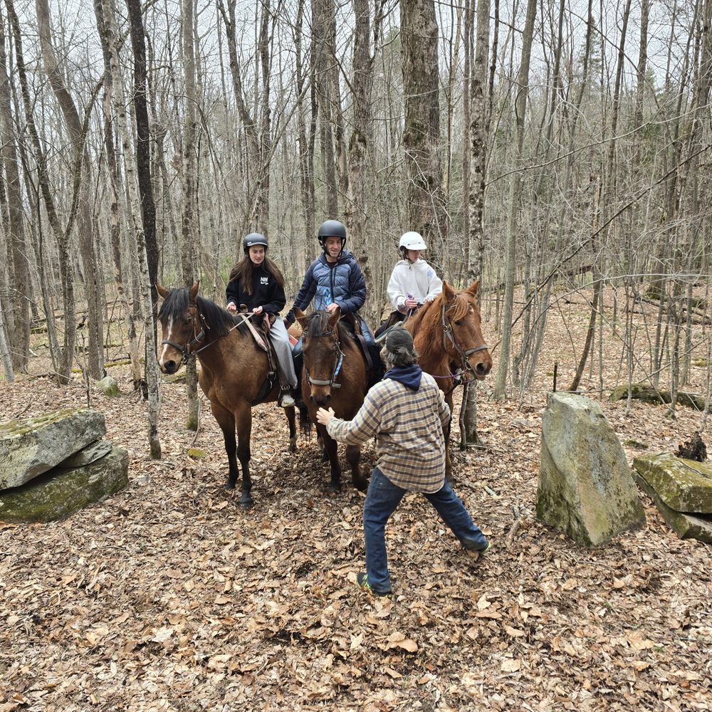 Horses For Hire - Horseback Riding Near Me - Peru, Vermont