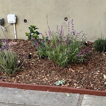 MC Landscaping - Inside front gate; small side yard. - Landscaping Near Me - Lakewood, California