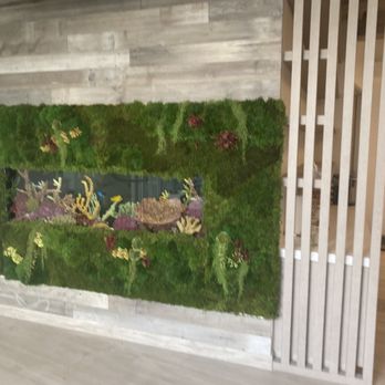 PAW Veterinary Center - Walking in first thing you see, beautiful aquarium - Veterinarians Near Me - Redondo Beach, California PAW Veterinary Center - Walking in first thing you see, beautiful aquarium - Veterinarians Near Me - Redondo Beach, California