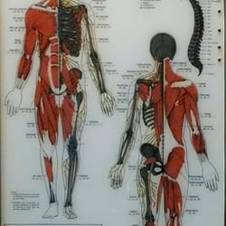 Timberlane Chiropractic & Massage Therapy - We often hear, "So, that's why!"