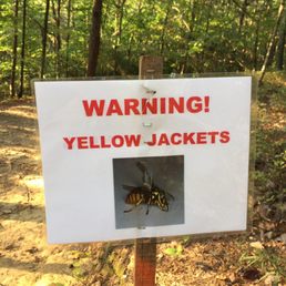 West Loop - Lots of yellow jackets at the Summit (9/2017)
