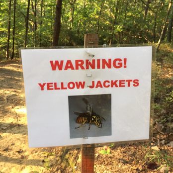Pine Mountain - West Loop - Lots of yellow jackets at the Summit (9/2017) - Parks Near Me - Cartersville, Georgia