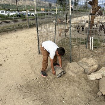 Prancers Farm - Petting Zoo - Fruits & Veggies Near Me - Santa Paula, California Prancers Farm - Petting Zoo - Fruits & Veggies Near Me - Santa Paula, California