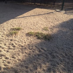 Hunter's Point Dog Park - Must bring my mutts here