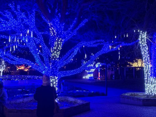 Abilene Zoo by null