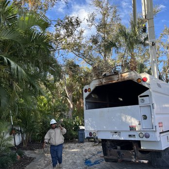 Harley's Tree Service - Trimming or removing trees is essential for proper property maintenance! - Tree Services Near Me