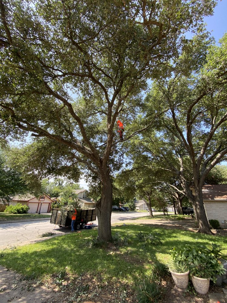 Slide of Mena Tree Service