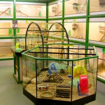 Paws For Thought - Pet Stores Near Me - Leeds, XWY Paws For Thought - Pet Stores Near Me - Leeds, XWY