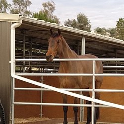 Will Mar Equestrian Center