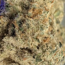 DABBS Cannabis Dispensary - I love Mississippi weed!  They are getting really good at it!