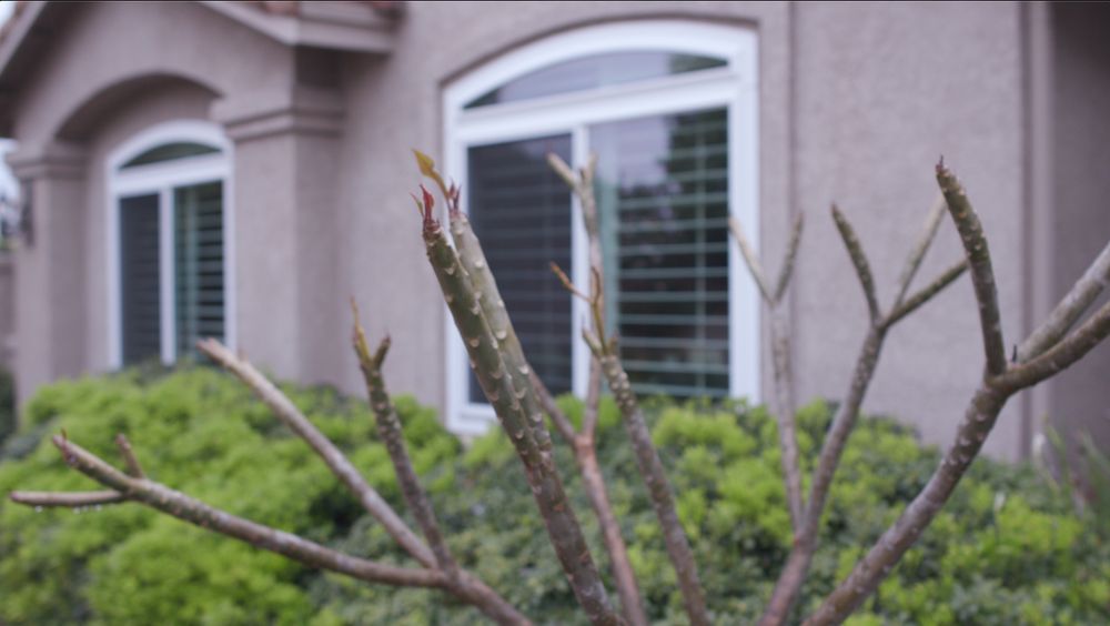 Slide of Window World - San Diego