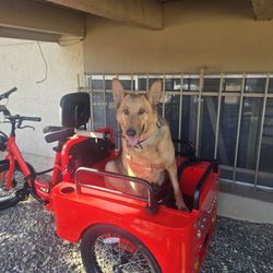 Kickstand cycles - This the trike that they sold . Please however bought please conact me Aquielx@gmail.com