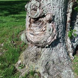Oppenheim County Park