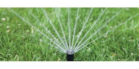 Slide of Nature Plus Lawn & Irragation