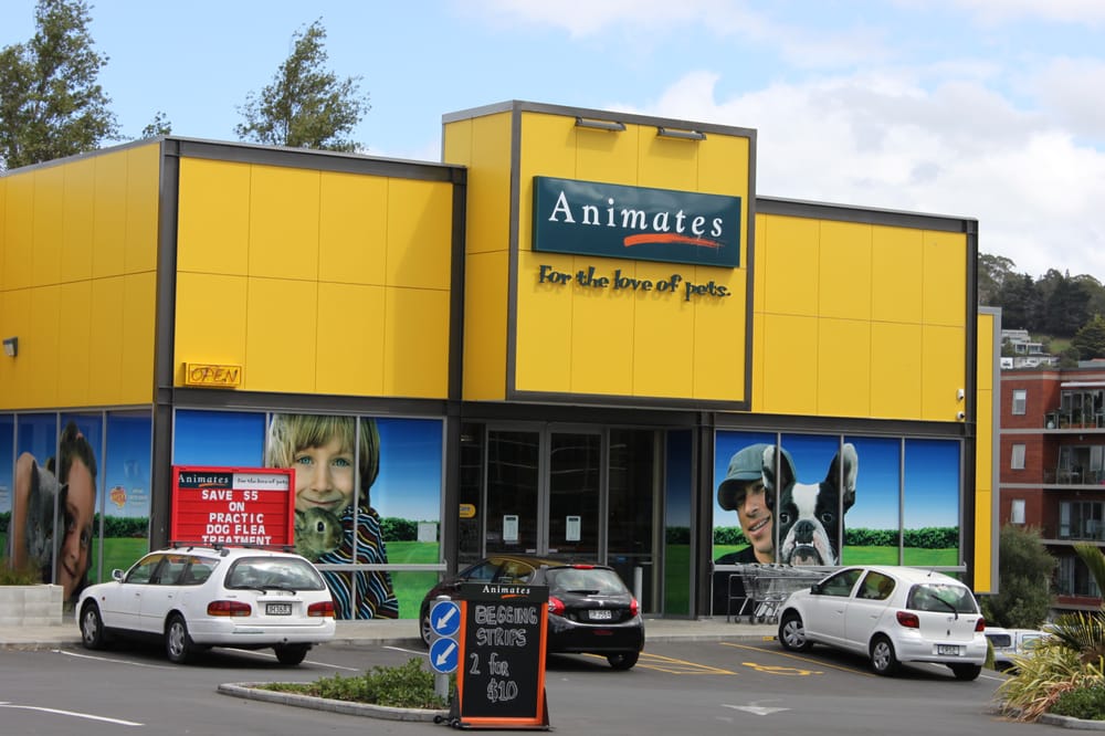 ANIMATES Updated September 2024 5 Wagener Pl, Auckland, New Zealand