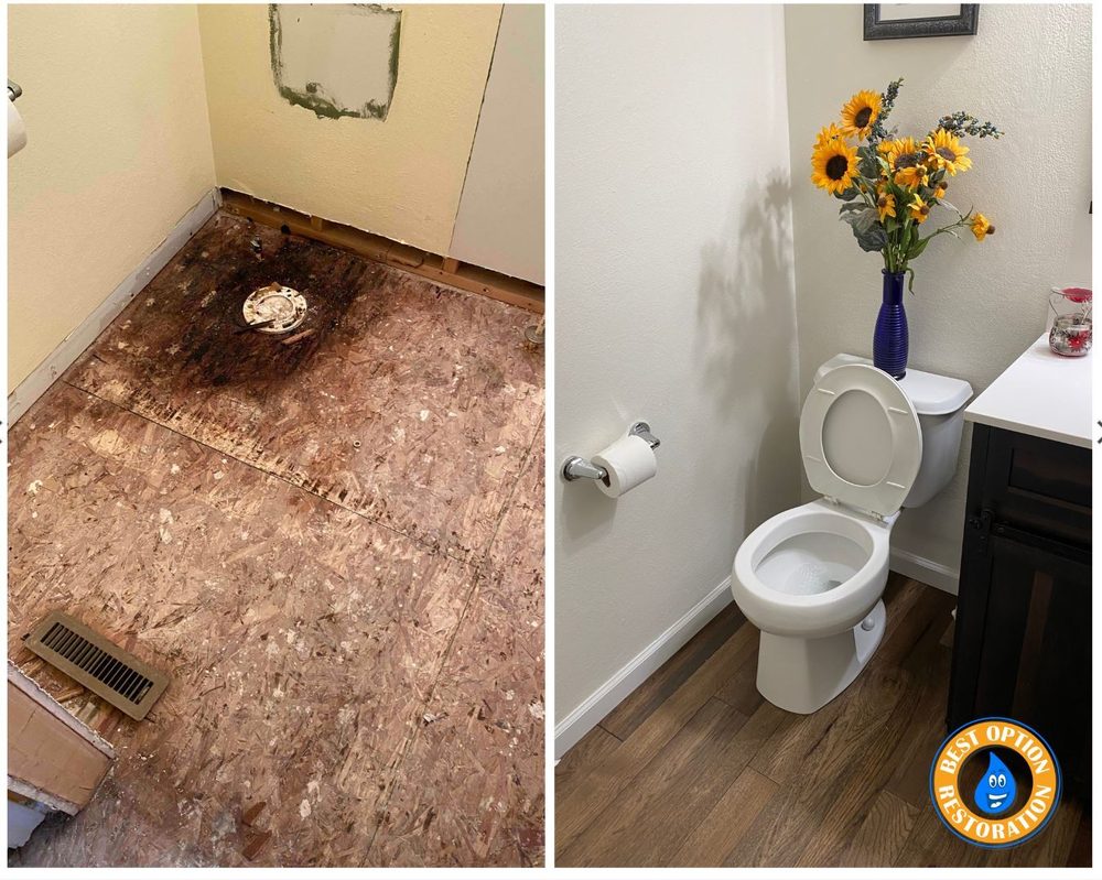 Best Option Restoration Of Central Tampa - mold inspector in Tampa, FL