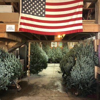 Blasz's Tree Farm - Pre cut trees - Christmas Trees Near Me - Eden, New York