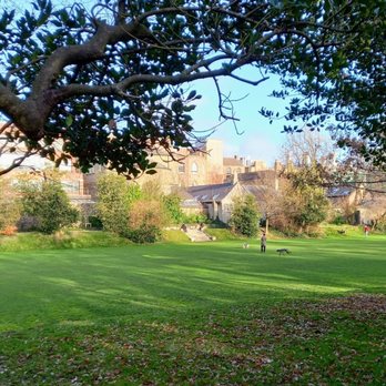 The Iveagh Gardens - A view from the park of Newman University Church and MOLI, the Museum of Literature Ireland. - Parks Near Me - Dublin, D