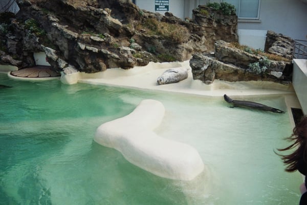 Biarritz Aquarium by null