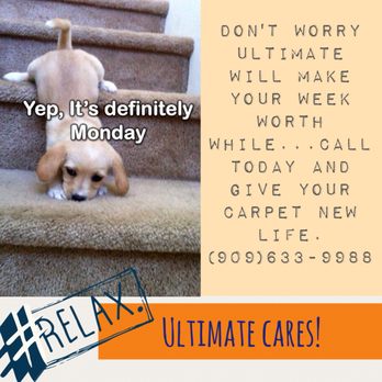 Ultimate Carpet Care - Carpet Cleaning Near Me - Redlands, California Ultimate Carpet Care - Carpet Cleaning Near Me - Redlands, California