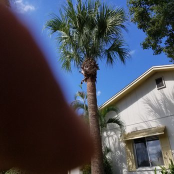 Elite Home & Tree Care - Tree Services Near Me - Winter Haven, Florida Elite Home & Tree Care - Tree Services Near Me - Winter Haven, Florida