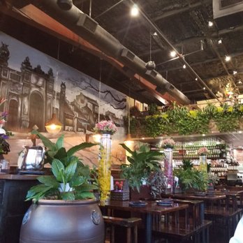 V Lotus - Vietnamese Near Me - Sugar Land, Texas