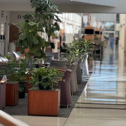 USMD Hospital At Arlington - First floor waiting area
